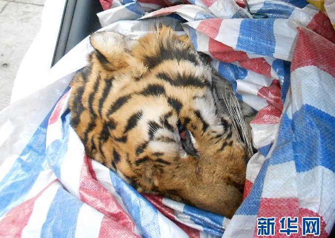 QQ�؈D20140109080721.jpg
