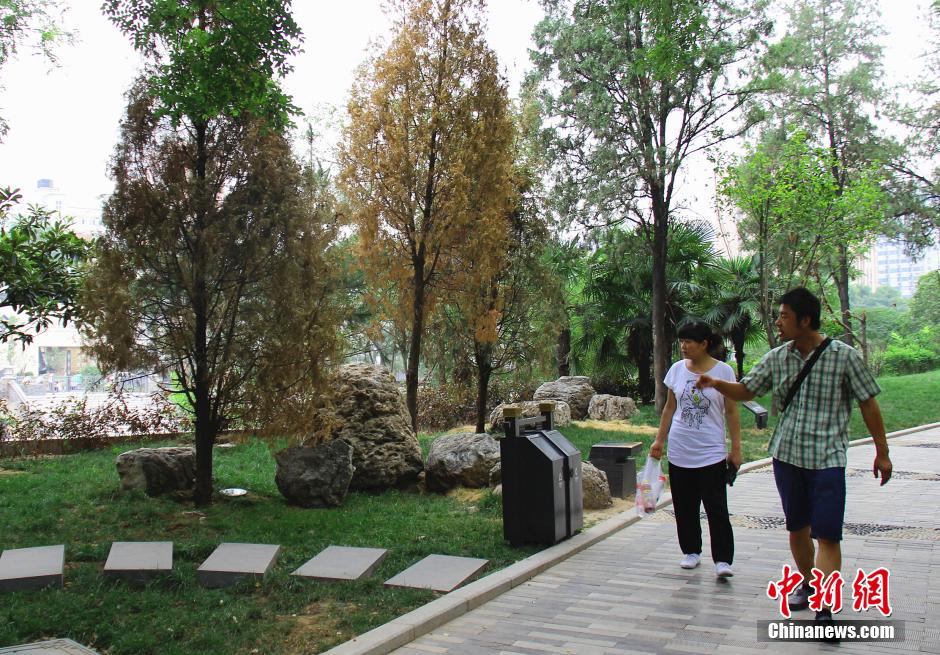 �M�ܹ����ˆTÿ��o�ذ���ľ�Ͳ��ˮ���o����ֲ������ꎾW(w��ng)�������ڸɺ����أ����в���ֲ�����F(xi��n)�����F(xi��n)�󡣳��m(x��)�ɺ���(d��o)�������o�Ǻӹ��@���֘�ľ�ɿݡ����Ʒ��z����