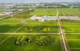 VCG111226194343_����.jpg